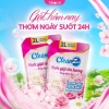 Thùng 2 túi nước giặt tỏa hương CleanZ túi 2L