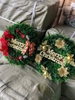 Vòng nguyệt quế Noel loại đẹp size 38cm
