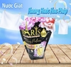 Nước giặt xả Paris dạng túi 2.2kg