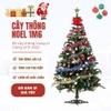 Cây thông Noel đầy đủ phụ kiện trang trí 1m6