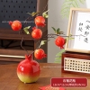 Bình lựu đỏ phong thuỷ may mắn trang trí ngày tết