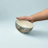 Tô sứ trắng họa tiết khủng long tinh nghịch 6