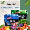 Sáp khử mùi tủ lạnh than hoạt tính Kokubo Nhật Bản