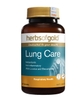 Herbs of Gold Viên uống bổ phổi Lung Care