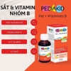 Pediakid Fer+Vitamin B