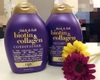 Cặp gội xả Biotin Collagen