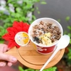 Tô giấy 13oz - Thỏ