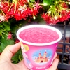 Tô giấy 13oz - Elsa