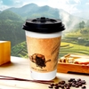 Cốc giấy 16oz 2PE kèm nắp nóng - Cafe