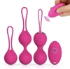 YANAI 66W019 SET TRỨNG RUNG CAO CẤP KÈM BÓNG BI ĐỒ CHƠI KÍCH THÍCH ÂM ĐẠO & HẬU MÔN