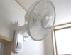 Quạt Treo Tường Iris Ohyama WFC-306 - BEST SELLER Nhật Bản