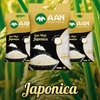 Gạo Nhật Japonica A An túi 5kg