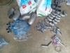 phu-kien-duong-ong-inox-cong-nghiep-co-te-con-van-bi-tieu-chuan-sch10-sch20