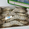 TÔM SÚ 10 CON/HỘP