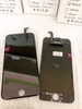 mh-ip-6g-zin-boc-may-den