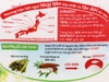 Bột ngọt hạt lớn Ajinomoto gói 400g