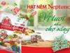 Hạt nêm Neptune vị heo gói 2kg