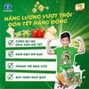 Thùng 48 hộp sữa cacao lúa mạch Care 100 Active 110ml