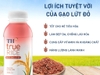 Thùng 24 chai nước gạo lứt đỏ TH True Rice 300ml