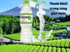6 chai nước tinh khiết Dasani 1.5 lít