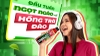 Thùng 24 chai hồng trà đào Tea365 500ml