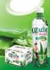 Lốc 6 chai nước uống Nha đam trắng OZALOE 420ml