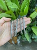 moc-khuyen-inox-tq