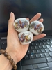 cong-cm-decal-tq
