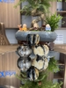 cong-sung-chim-chao-mao-hang-sung-gan-san-tai