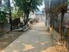 Đất thổ gần phòng công chứng Trần Văn Châu Diện tích : 5,7 x 28 thổ 100% sổ hồng riêng