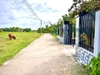 Đất Ở Đô Thị Mới Hậu Nghĩa Đường Bê Tông Xe Hơi Tới Chỗ 4.2M x 23M Vuông Vức
