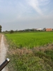 bán đất xã Hòa Khánh Tây