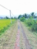 Bán đất vườn xã Hòa Khánh Đông