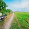 Bán Đất Ấp Giồng Lớn Xã Mỹ Hạnh Nam Đường Đá Xanh Thích Hợp Xây Ở