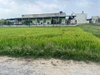 Bán đất khu vực 5 thị trấn đức hòa phân được 4 nền