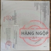 Bán Đất Khu Vực 2 Thị Trấn Đức Hòa Đường Bê Tông Gần Bưu Điện Đức Hòa