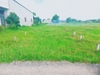 Cần Bán thửa Đất ấp mới 1 xã mỹ hạnh nam[Đức Hoà]