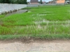 ban-dat-xa-hoa-khanh-dong