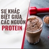 Sự Khác Biệt Giữa Whey Protein và Các Nguồn Protein Khác