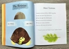 hare-and-tortoise