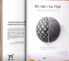 combo-bo-nao-cua-phat-tich-tieu-thanh-dai