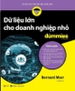 du-lieu-lon-cho-doanh-nghiep-nho-for-dummies-bernard-marr