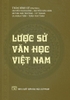 luoc-su-van-hoc-viet-nam-bia-mem-tran-dinh-su-chu-bien