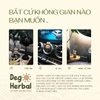 tinh-dau-thien-nhien-cao-cap-cam-ngot-thom-phong-thu-gian-dego-10ml-tang-kem-que
