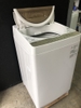Máy giặt 184 TOSHIBA 2016 7KG