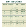 (Mã V17) - Đồ bộ trung niên HUY HÀ , thiết kế áo lụa tơ tằm quần dài karolan