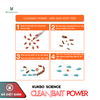 Combo 3 -  Bả diệt gián Cleanbait Power 35g