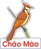 Bảng Chữ Treo
