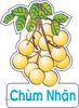 Bảng Chữ Treo