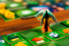 Living Forest